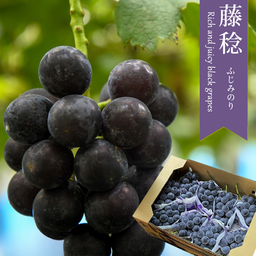 予約】ケース 箱売り 山梨 藤稔 藤みのり 大峰 8〜11房 約5kg ぶどう