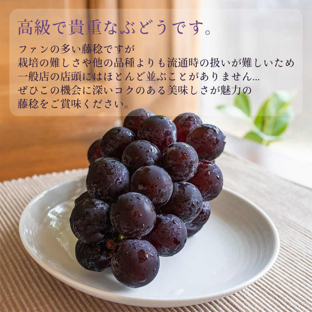 予約】ケース 箱売り 山梨 藤稔 藤みのり 大峰 8〜11房 約5kg ぶどう