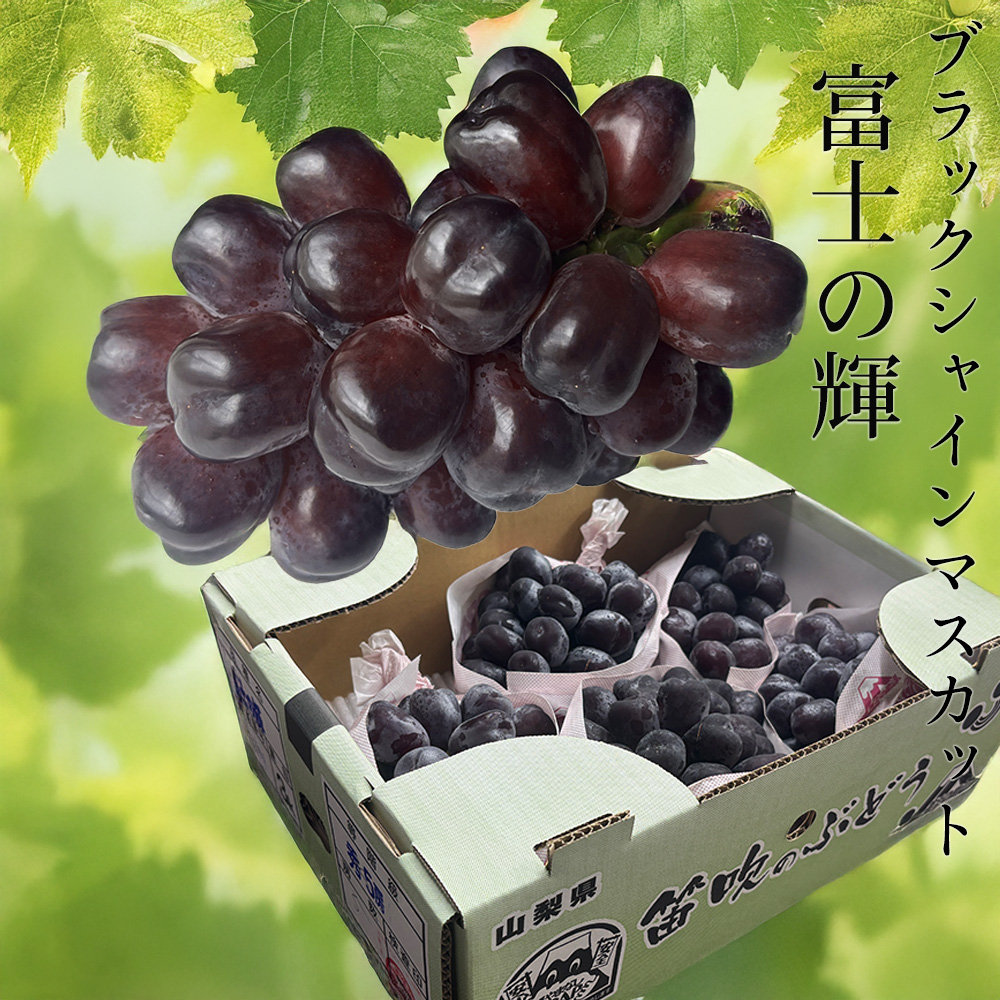 ケース 箱売り 山梨 富士の輝 ブラック シャインマスカット