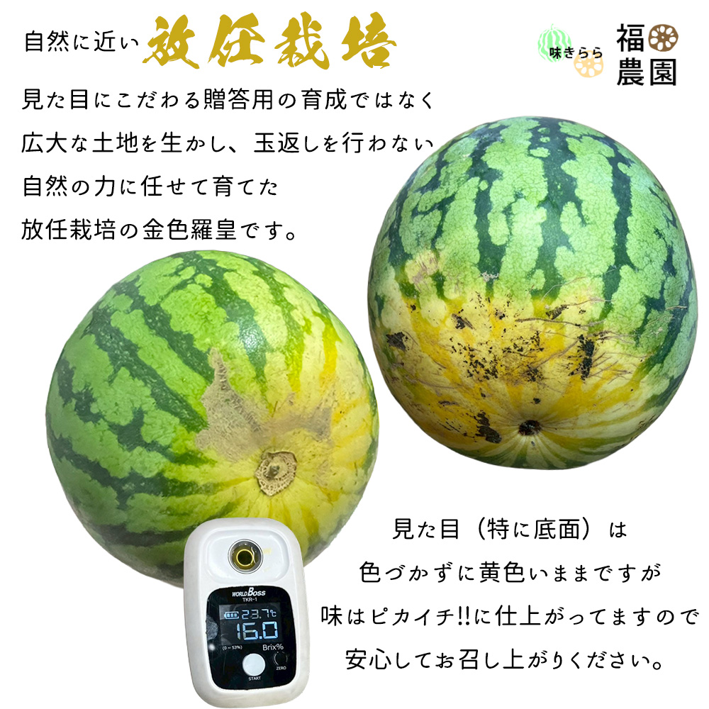 産地箱でお届け 訳あり