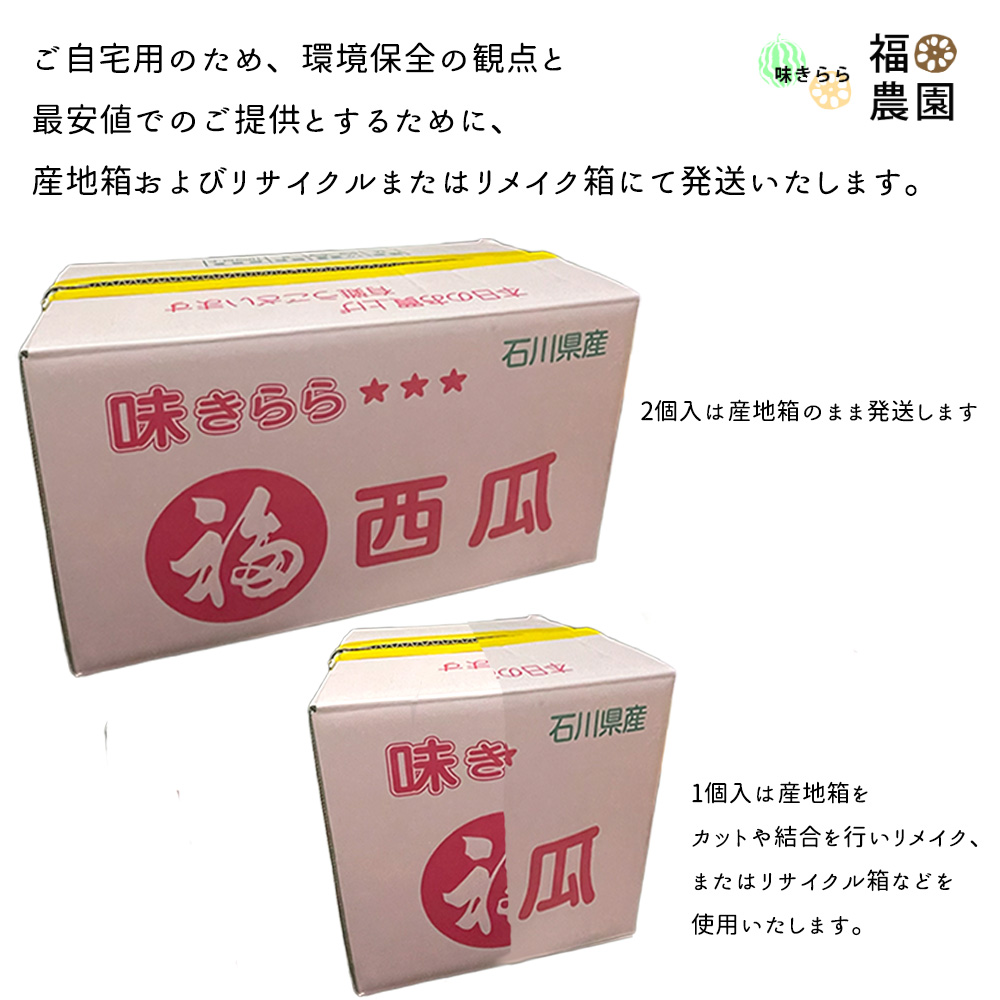 金色羅皇 ケース