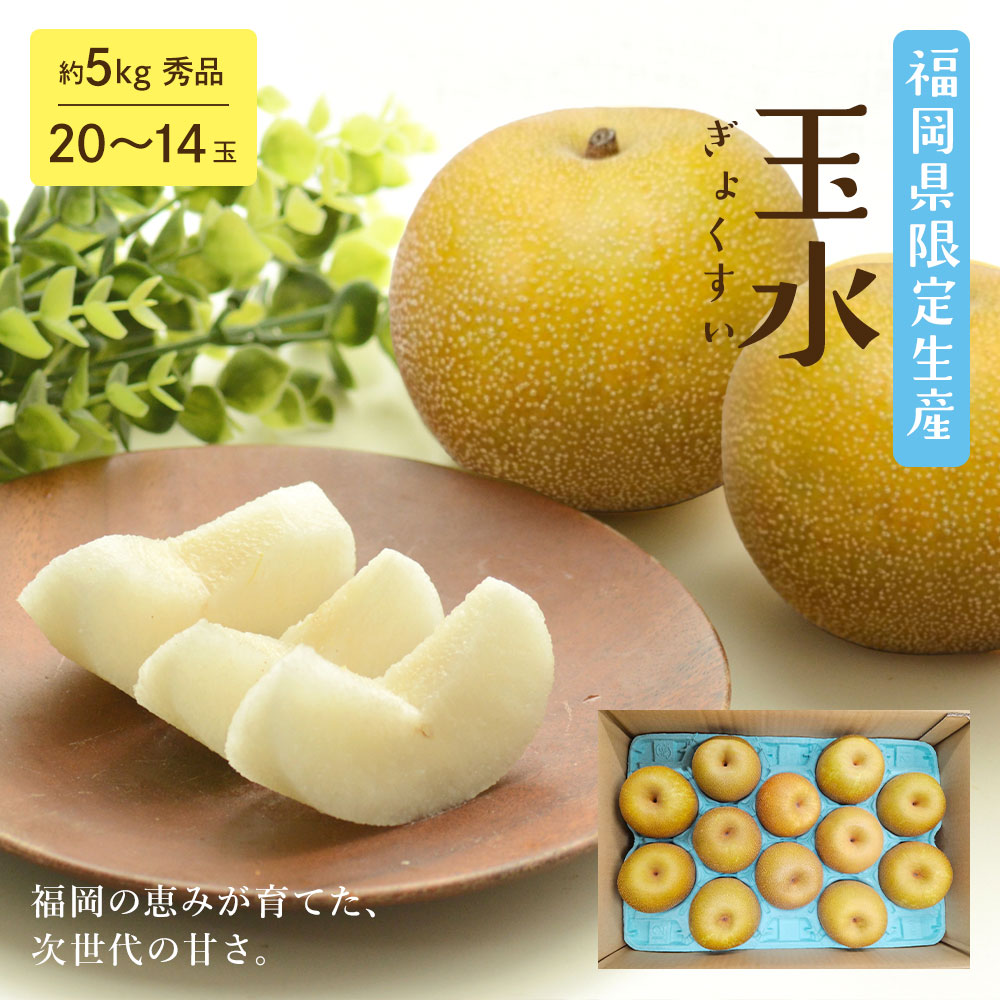 8月上旬より発送 玉水梨 ケース 箱売り 梨 福岡県限定生産 新品種 幸水