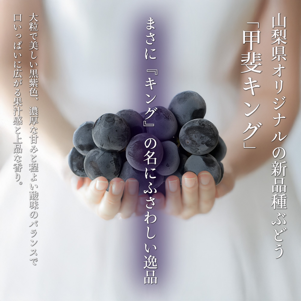ケース 箱売り 山梨 甲斐キング ブラックキング 5〜7房 約3kg ケース 箱売り 山梨 甲斐キング ブラックキング 5〜7房 約3kg