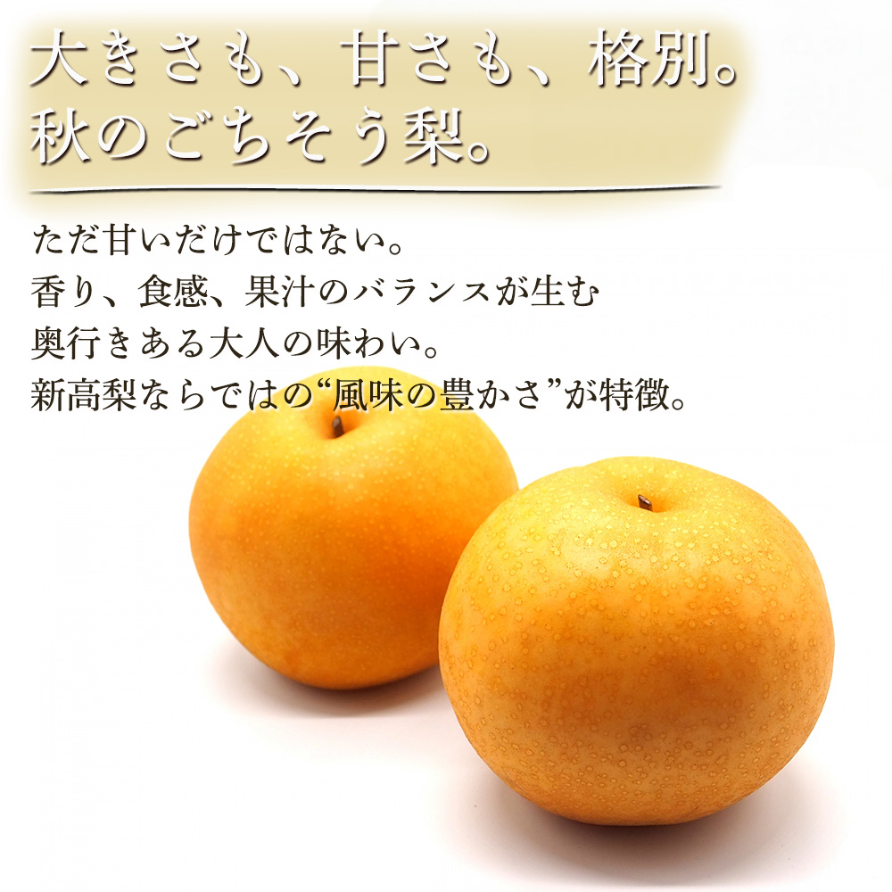 出荷中】ケース 箱売り 新高梨 新高 梨 なし 大玉 和梨 赤梨 フルーツ