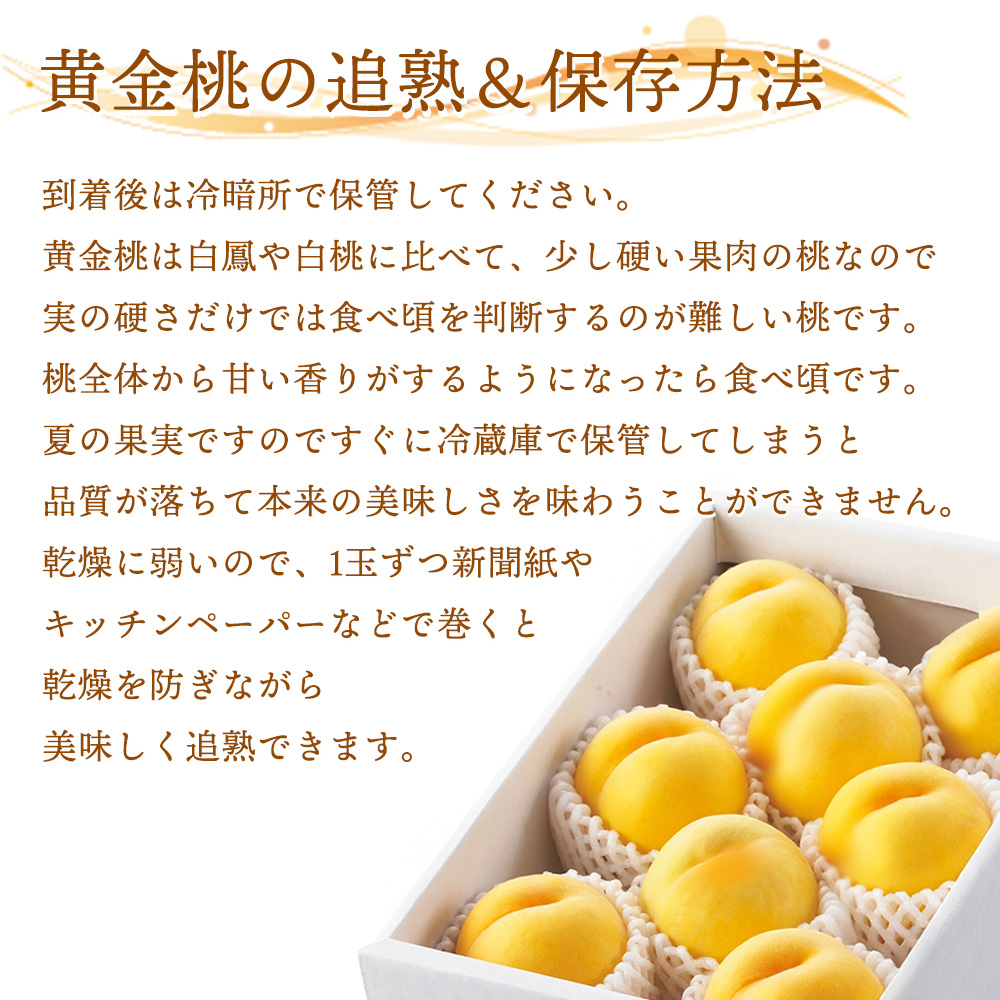 黄金桃１５　３箱 ケース 箱売り 黄金桃 ゴールデンピーチ 希少 もも 桃 産地