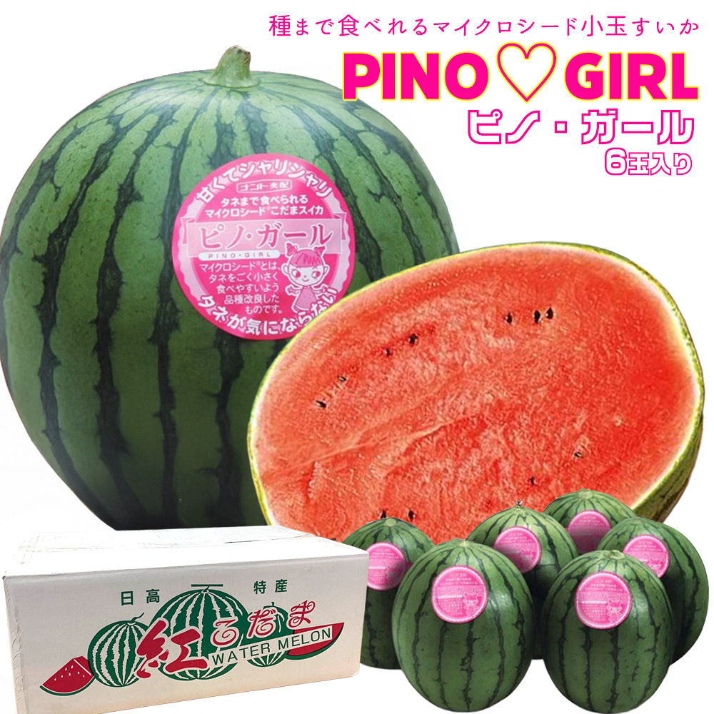 ピノガール ケース