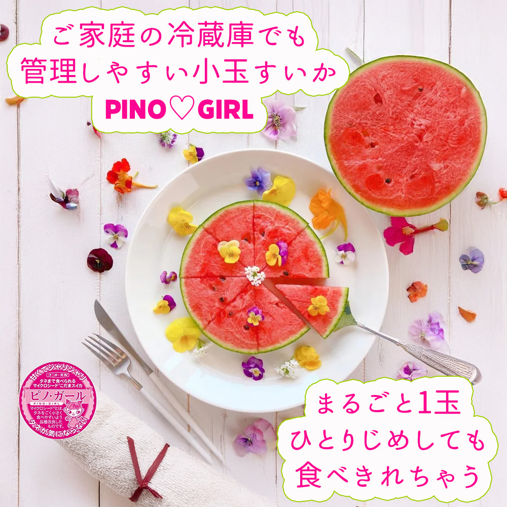 ピノガールイメージ