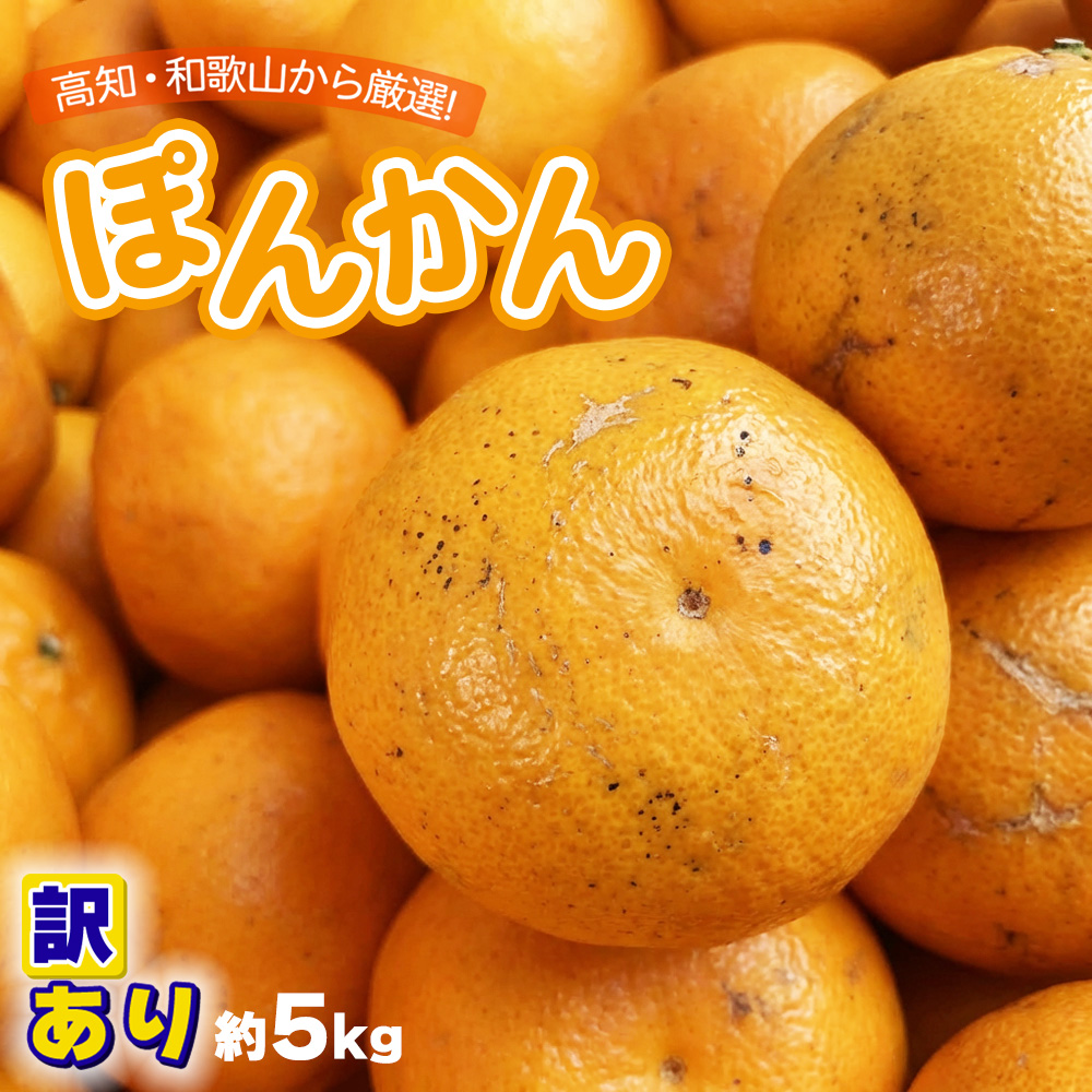 ぽんかん 訳あり」の人気商品一覧 | 安い商品を通販サイトから探す