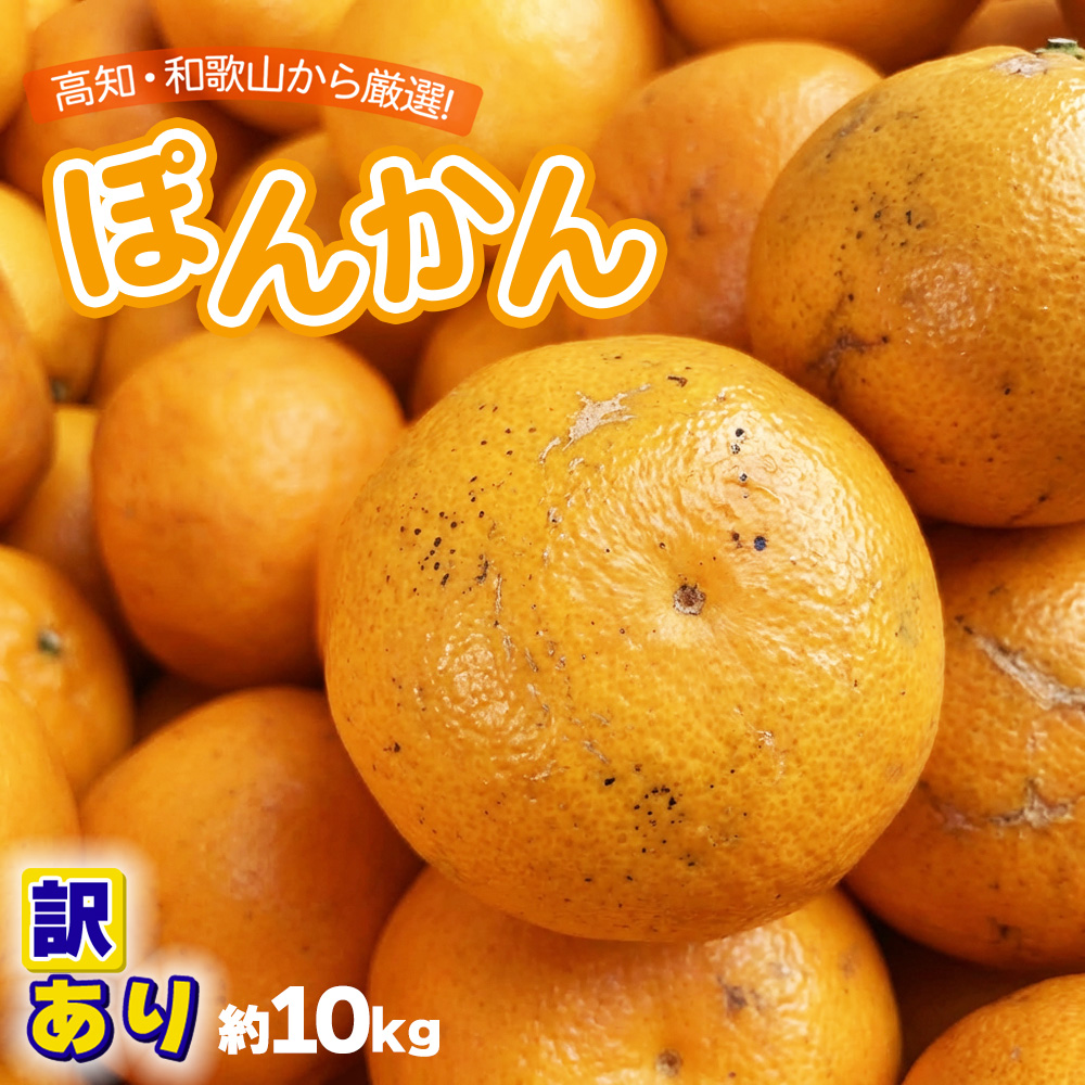 ケース販売 箱売り 高知県 和歌山県産 [訳あり ぽんかん 10kg 2L~3L