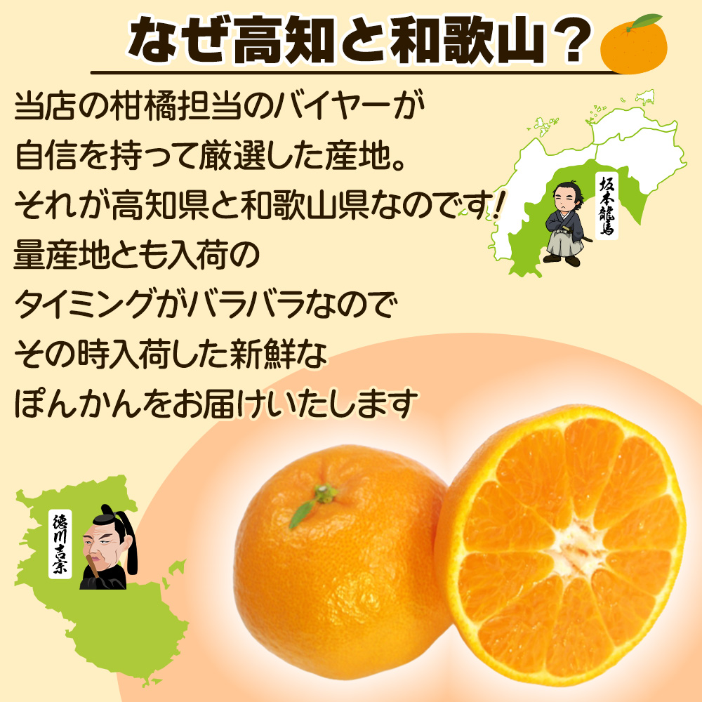 高知県 和歌山県産 [訳あり ぽんかん 5kg 2L~3L] サイズ 柑橘 ポンカン