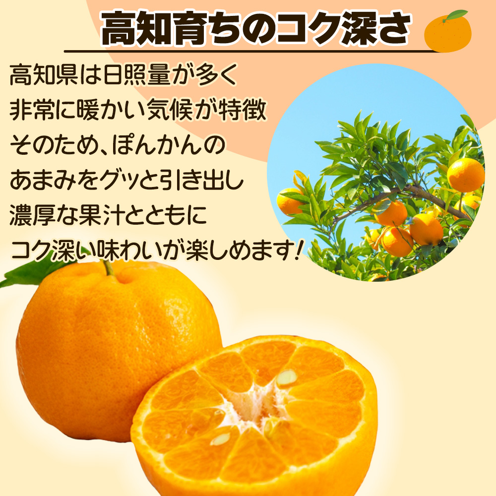 高知県 和歌山県産 [訳あり ぽんかん 5kg 2L~3L] サイズ 柑橘 ポンカン