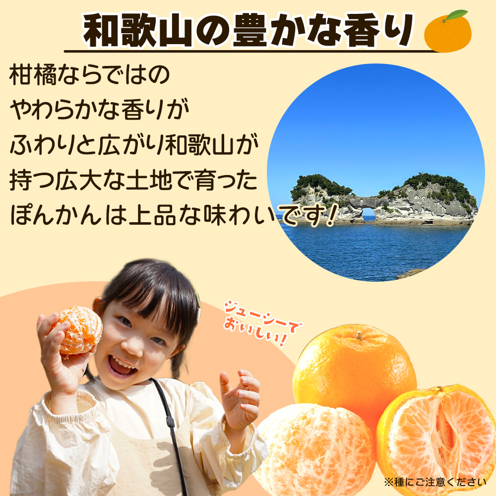 みかん　より味が濃い　ぽんかん　　69 ポンカン みかんより味が濃い 69｜Yahoo!フリマ（旧PayPayフリマ）
