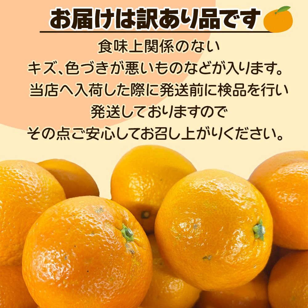 みかん　より味が濃い　ぽんかん　　81 愛媛 ポンカン 9kg 家庭用 みかん S~L サイズ ミックス 玉津みかん