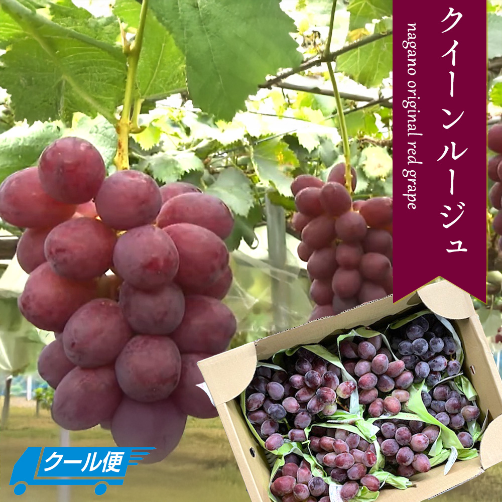 ケース 箱売り 長野 クイーンルージュ 赤ぶどう 赤い シャイン