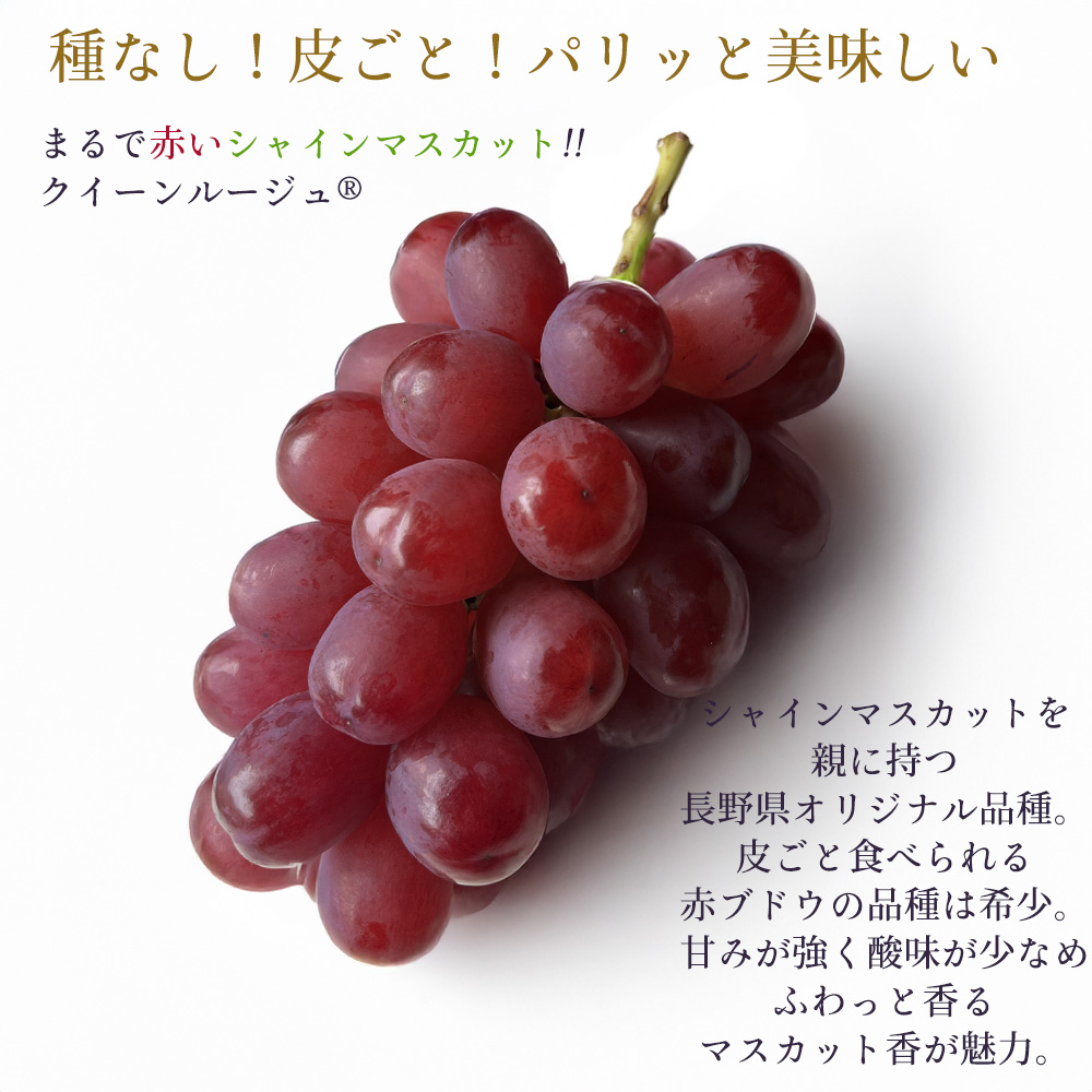 長野県産クイーン ルージュ 4L8房 秀品 1ケース 5キロ ケース 箱売り 長野 クイーンルージュ 赤ぶどう 赤い シャイン