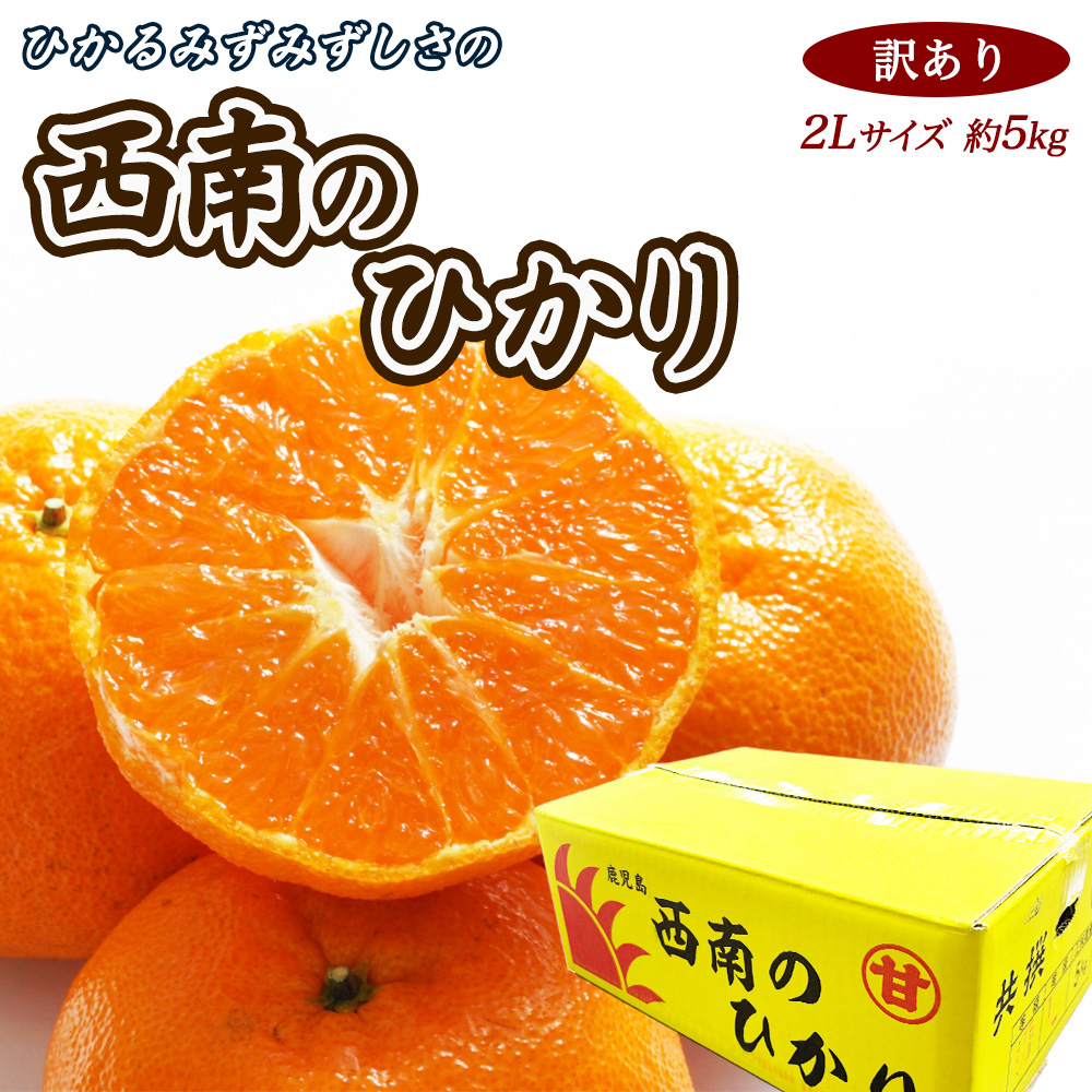 最安値に挑戦! ケース 箱売り 訳あり 西南のひかり 2Lサイズ 5kg