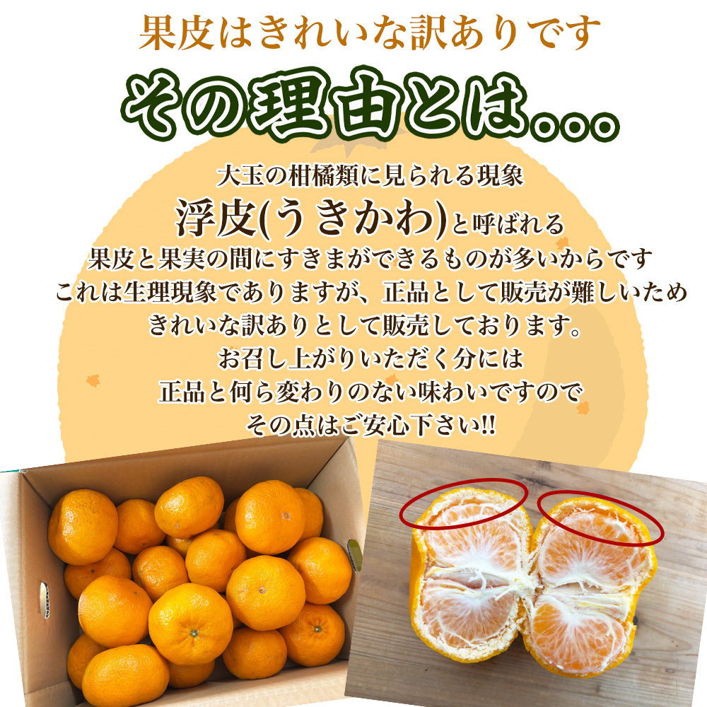 最安値に挑戦! ケース 箱売り 訳あり 西南のひかり 2Lサイズ 5kg