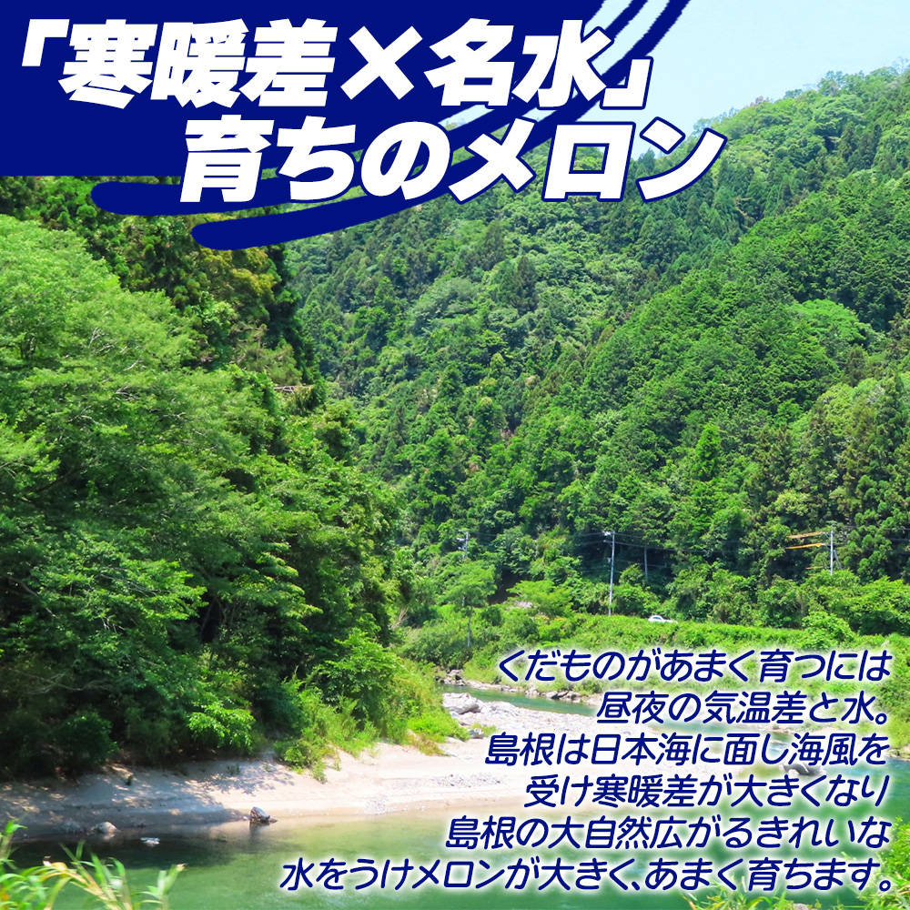 島根メロン