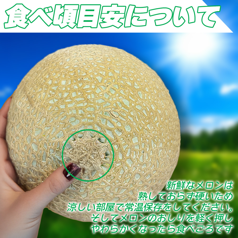 島根メロン