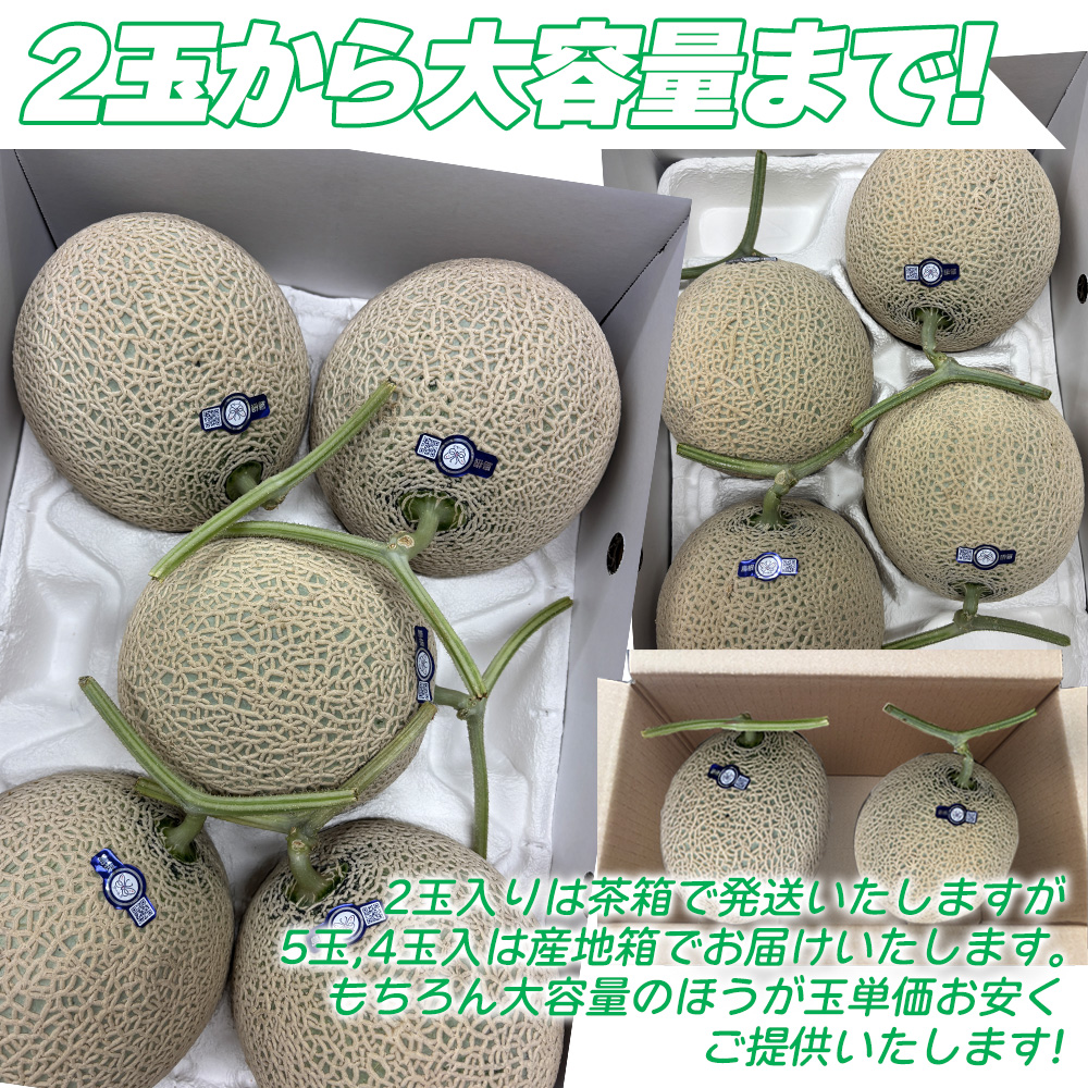 島根メロン