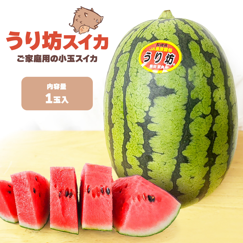 ケース 箱売り すいか 小玉 うり坊 ウリ坊 長崎県産 1玉 Lサイズ
