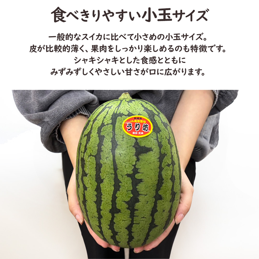 ケース 箱売り すいか 小玉 うり坊 ウリ坊 長崎県産 5玉 Lサイズ