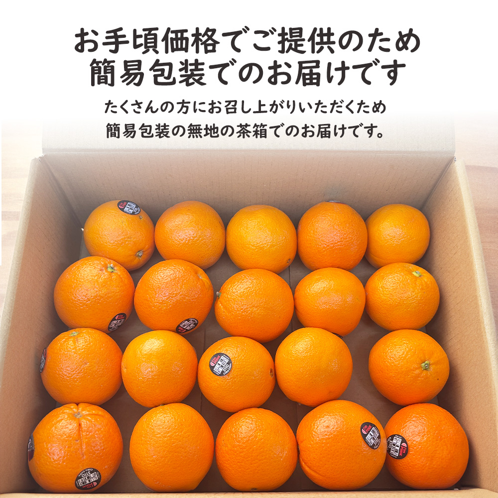 おすすめ ピンクネーブル カラカラ カラカラオレンジ 20玉 柑橘 約3kg 果樹