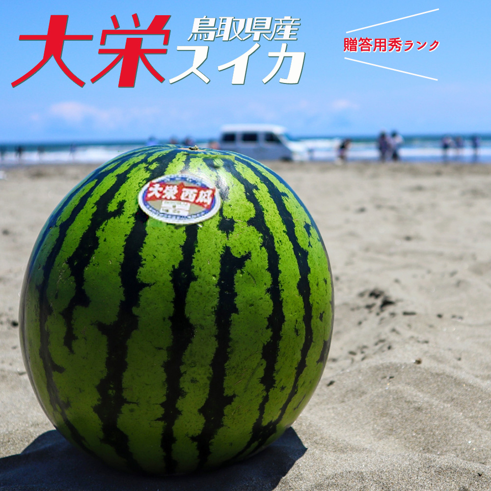 大栄スイカ