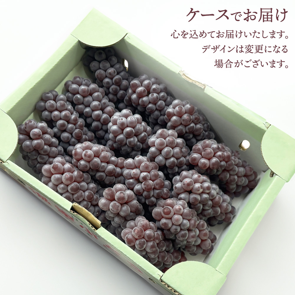 デラウェア でらうぇあ 小粒 12〜17房 約2kg 山梨県産 ぶどう