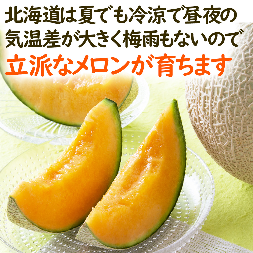 お中元 フルーツ ギフト 北海道産 赤肉メロン と 沖縄県産 マンゴー