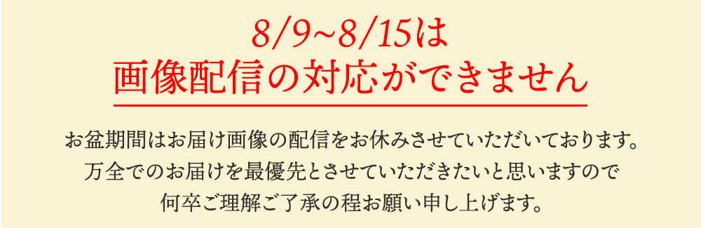 フルーツ盛り合わせお祝い