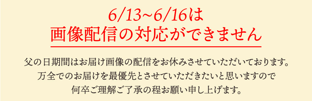フルーツ盛り合わせお祝い