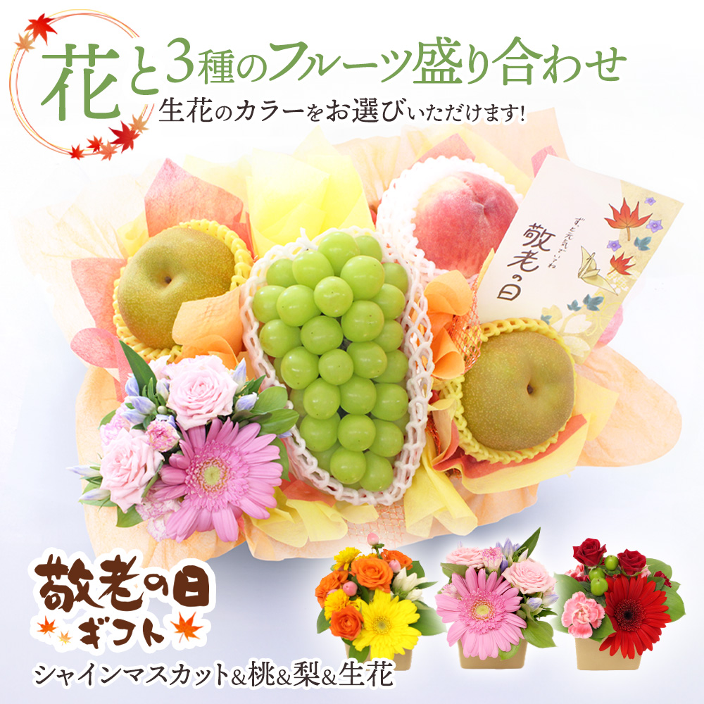 遅れてごめんね 敬老の日 シャインマスカット 桃 梨 フルーツ 遅れてごめんね 敬老の日 シャインマスカット 桃 梨 フルーツ