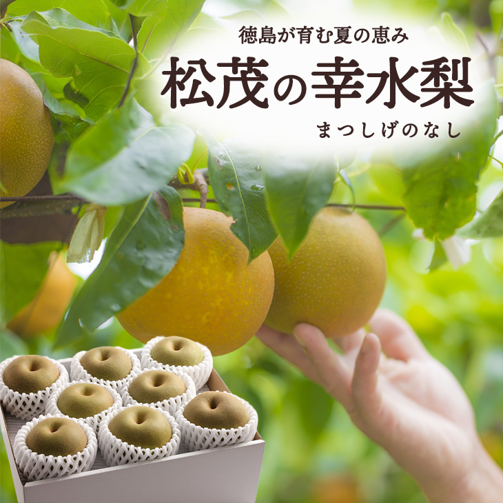 出荷中】さつまいも 自宅用 [甘太くん 大分県産 約5kg (M-Lサイズ 17本