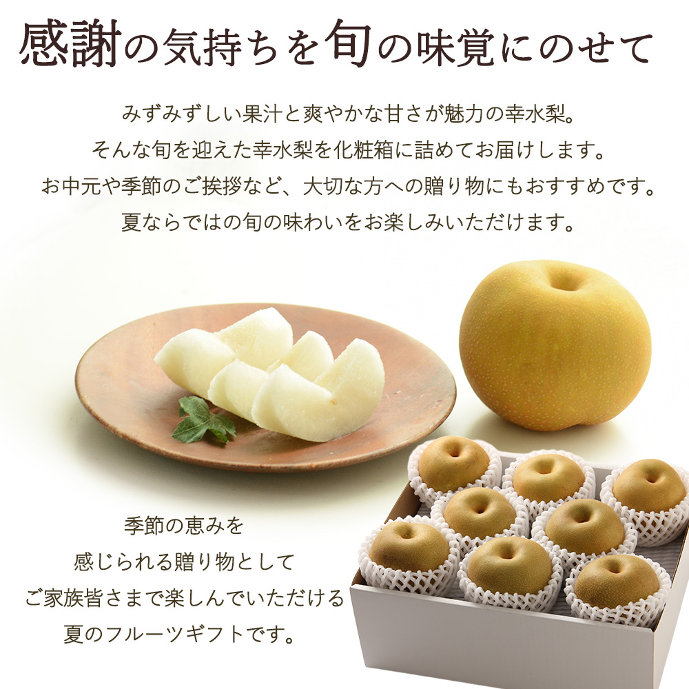 松茂の幸水梨 お中元 贈答 ギフト 梨 徳島県産 幸水 約2kg 化粧箱入り