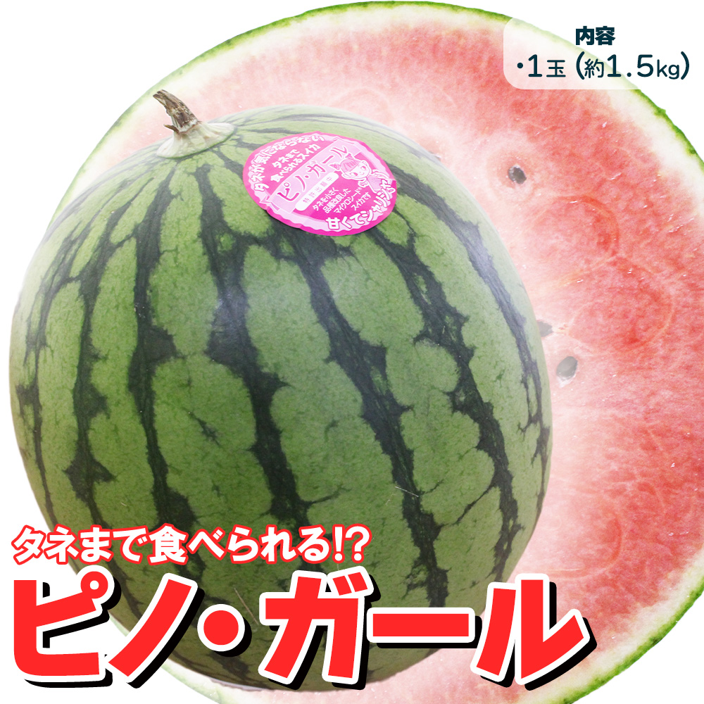 ピノガール」の人気商品一覧・価格比較 - 価格.com
