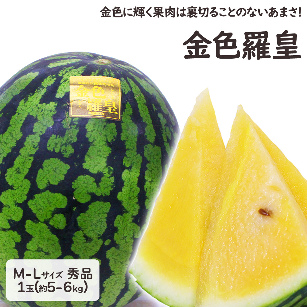 ここ！産地直送！大玉スイカ羅皇2玉入甘くて美味しい箱込13キロ2ケース すいか 【先行予約：2026年6月下旬より配送】 スイカ 羅皇ザ