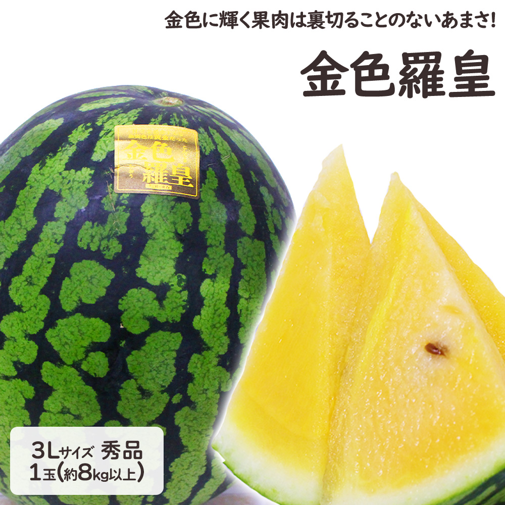甘くて最高！熊本産秋西瓜 羅皇 2Lサイズ2玉セット(15-17k箱込) 秋スイカ 羅皇 熊本 大玉 送料無料 2玉セット 1玉あたり7〜8kg 2L