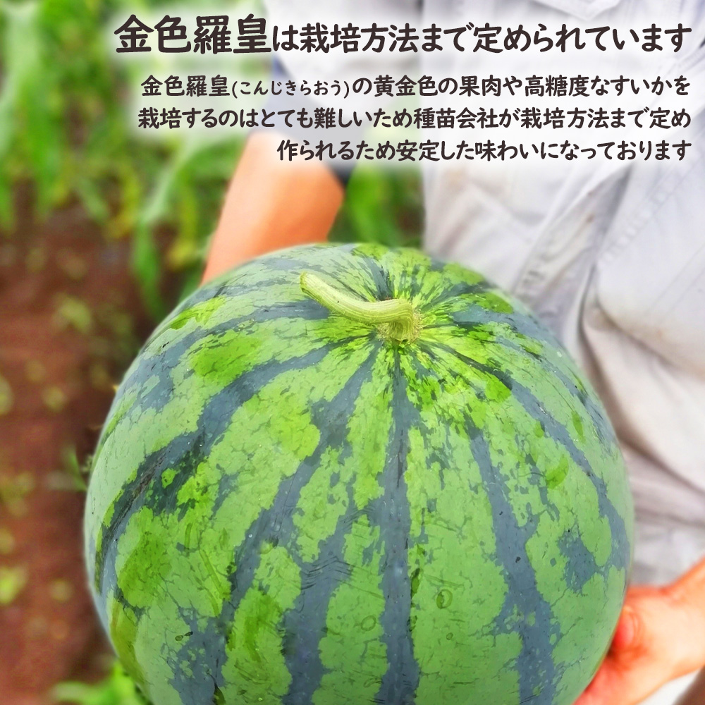 金色羅皇
