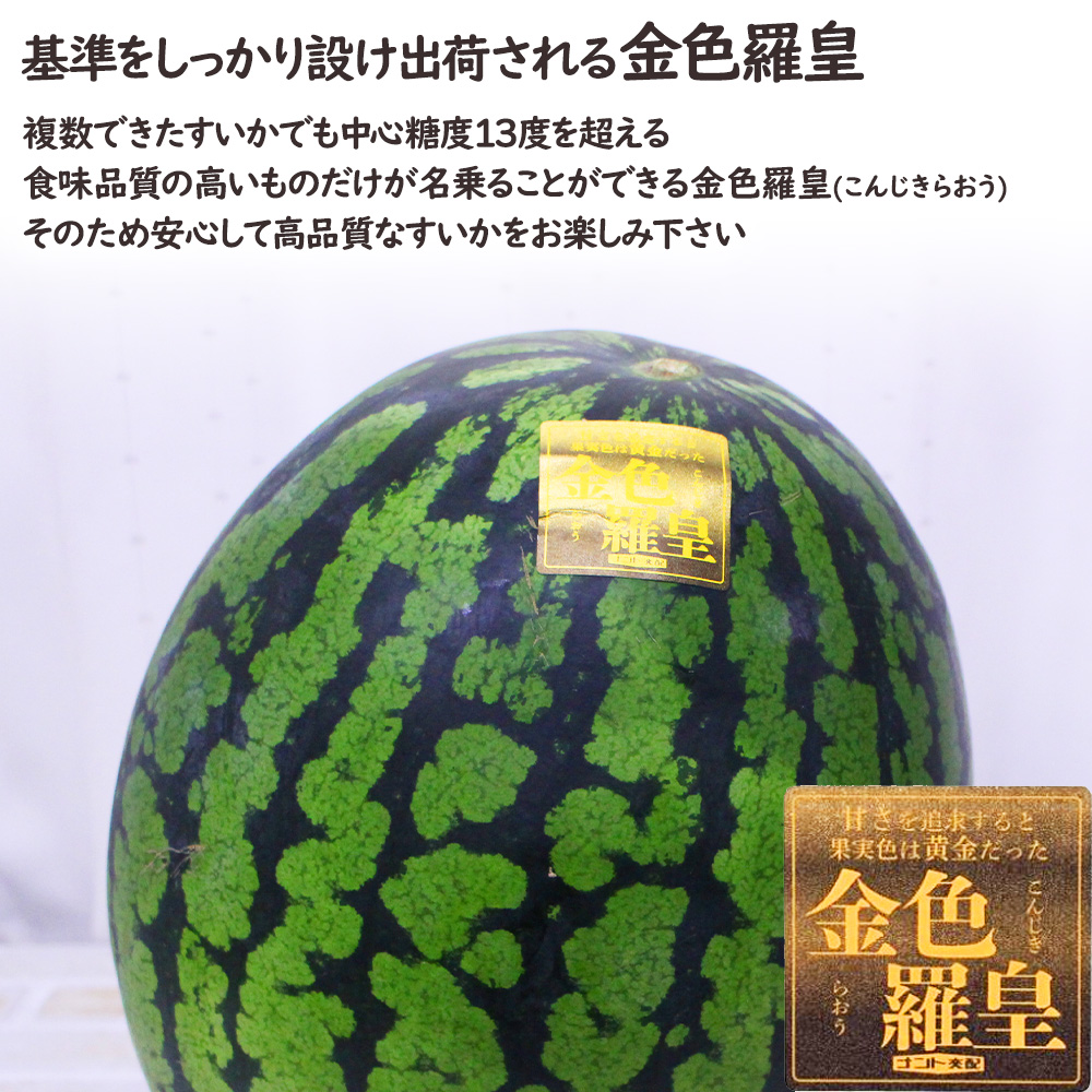 金色羅皇
