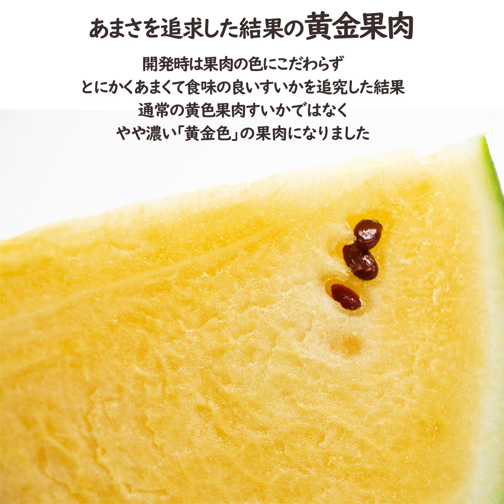 金色羅皇