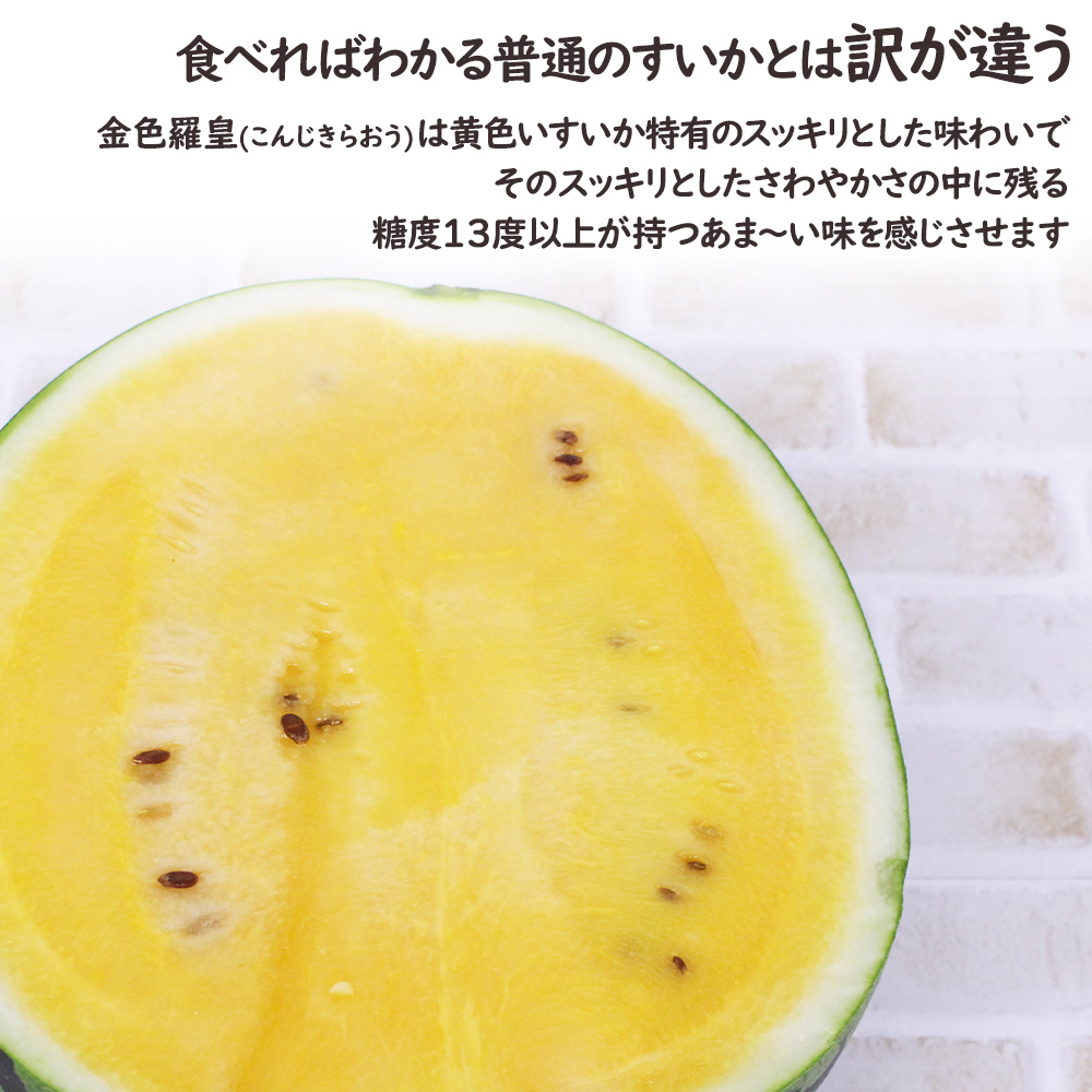 金色羅皇