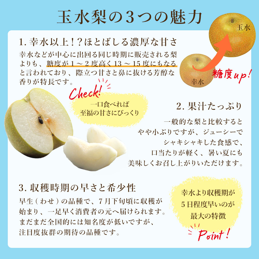 8月上旬より発送 玉水梨 ケース 箱売り 梨 福岡県限定生産 新品種 幸水
