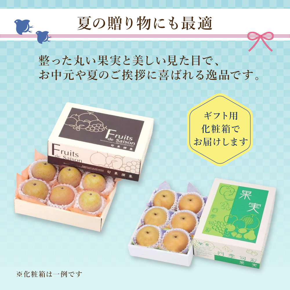 玉水梨 お中元 贈答 ギフト 福岡県限定生産 新品種 幸水 化粧箱 送料