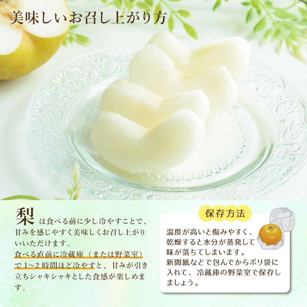8月上旬より発送 玉水梨 ケース 箱売り 梨 福岡県限定生産 新品種 幸水