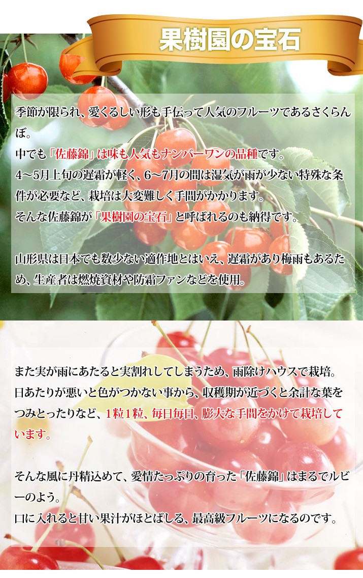 りんごさくらんぼ