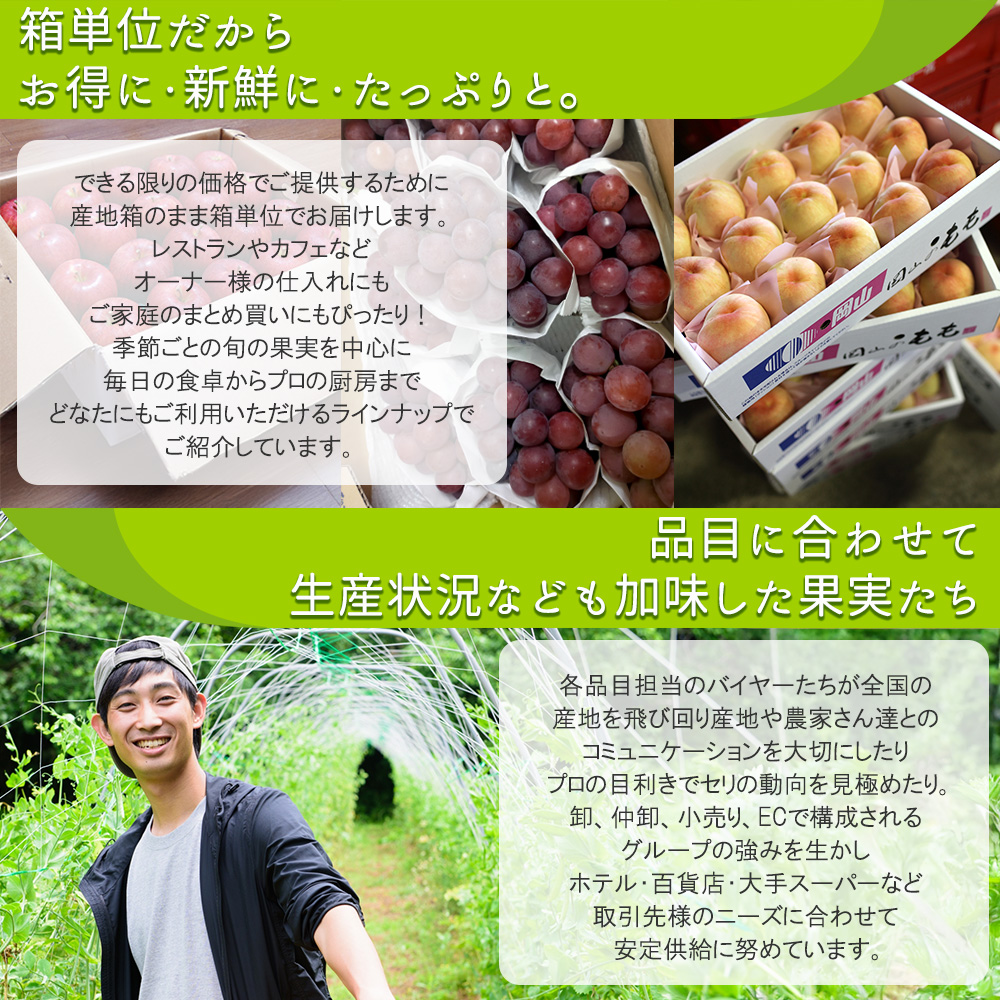 ケース販売