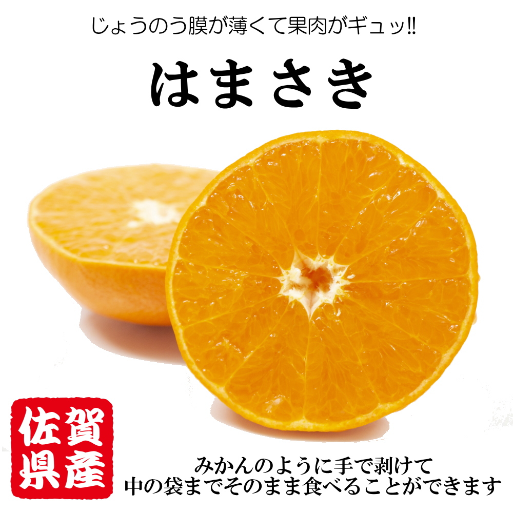 はまさき 佐賀県産 せとか の姉妹品種 柑橘 みかん 唐津 果物 麗紅 れ