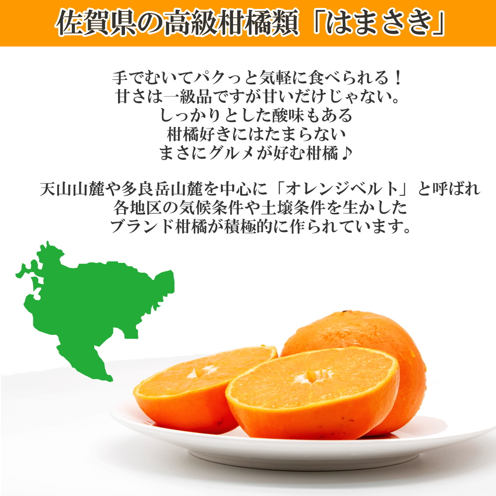 2箱セット麗紅LL 9個 平箱特選　濃い味と甘さ特徴　有田みかん　せとかの姉妹品 麗紅LL 9個 特選 濃い味と甘さ特徴 有田みかん せとかの姉妹品種 平箱