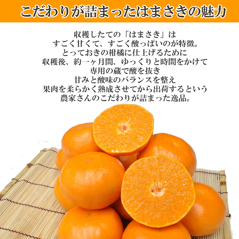 はまさき 佐賀県産 せとか の姉妹品種 柑橘 みかん 唐津 果物 麗紅 れ